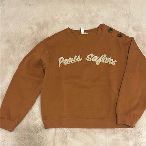 & Other Stories Brown Sweatshirt Paris Surface